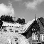 Interdiction de louer un logement ayant des performances énergétiques trop faibles 3 Interdiction de louer un logement ayant des performances énergétiques trop faibles 3